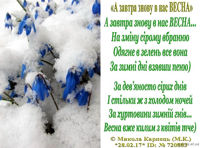 «А завтра знову в нас ВЕСНА» вірші, микола Карпець