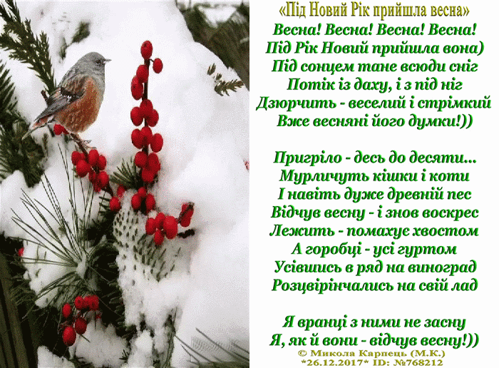 Під Новий Рік прийшла весна, вірші, Микола Карпець