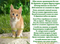 Мой котёнок не слышит ни звука