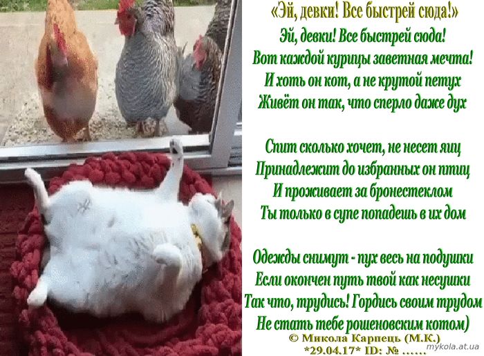 «Эй, девки! Все быстрей сюда!», Микола Карпець, стихи